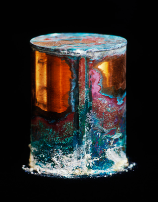 Illustration for article titled Surprisingly beautiful photographs of decaying cans of human remains